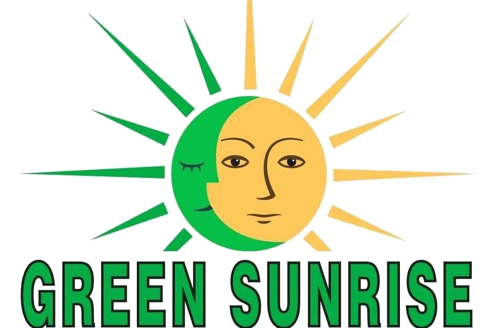 a green and yellow sun and moon with the text "green sunrise" below it.