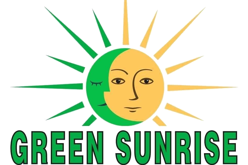 a green and yellow sun and moon with the text "green sunrise" below it.